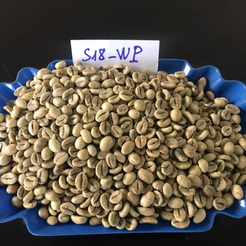 Cheap Price ROBUSTA COFFEE BEANS Premium Coffee Supplies Arabica Green Coffee Beans Wholesale From Viet Nam Supplier