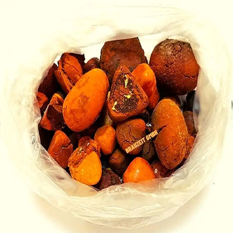 Export 100% Natural Top Quality Ox Gallstones Cattle Gallstones Cow Gallstones for Sale