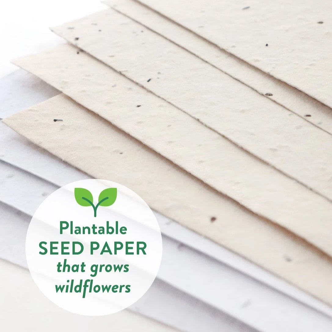 Pack of 25 A4 Size Sheets Grow Germinate Paper Wild Flower Unique Concept Multi Color Printing Paper Customized Sheets