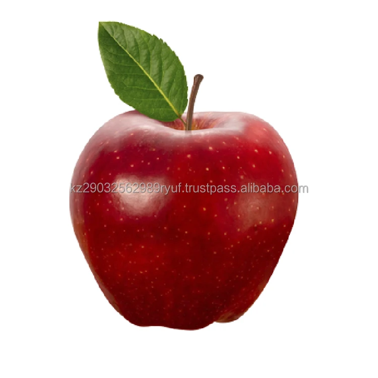 Juicy GRANNY SMITH apples are golden green and sometimes yellow in color and have creamy flesh