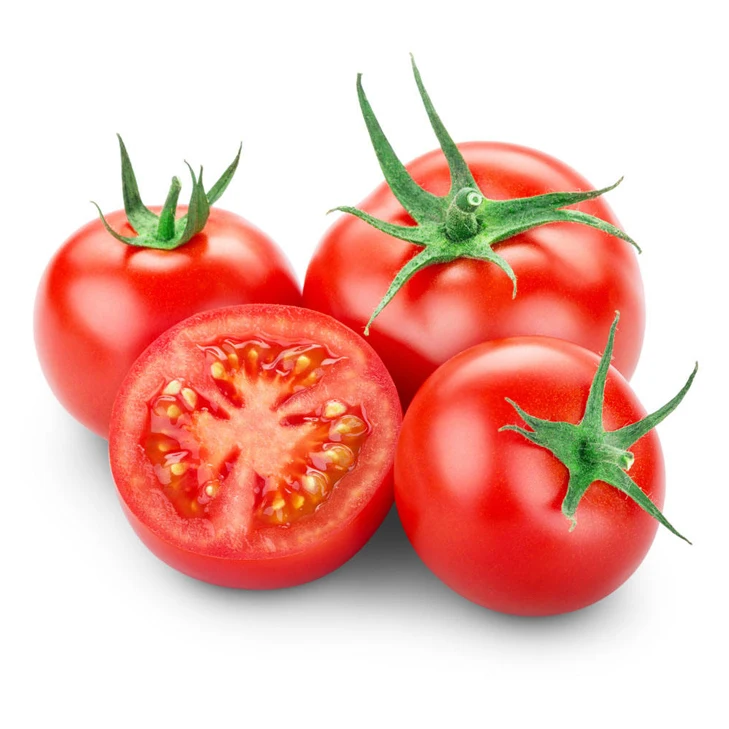Fresh Tomato with Natural red / Best quality for wholesale / Quick response and cheap price