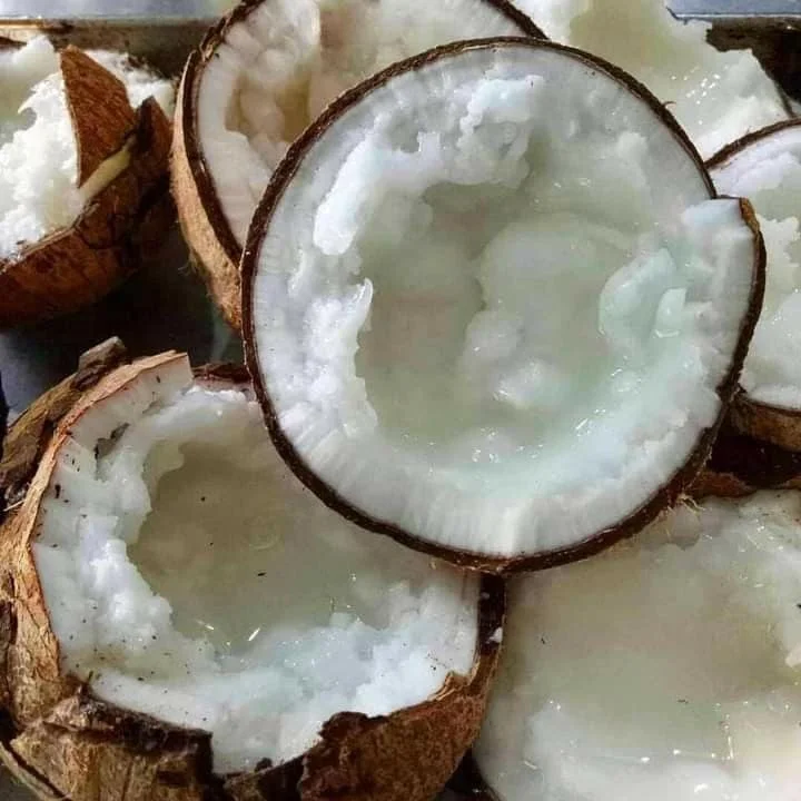 PURE HIGH QUALITY FRESH COCONUT MACAPUNO COCONUT ORGANIC MACAPUNO FRESH USE TO DESSERT