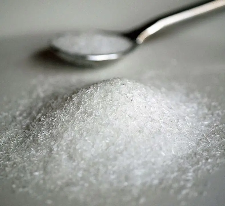 Halal Food Additives Seasoning China Salt 99% 20 30 60 80 Mesh Monosodium Glutamate Seasoning Msg
