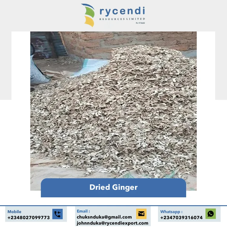 Wholesale Price Top Quality 100% Pure and Natural Taste Spicy Flavor Dried Split Ginger | Dried Ginger Flakes Nigeria