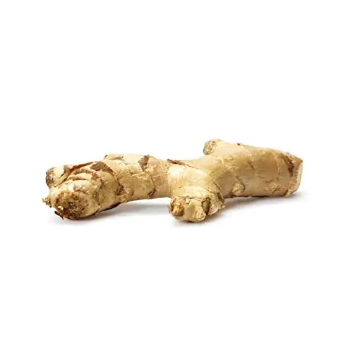 High quality fresh Ginger exporters wholesale price available.
