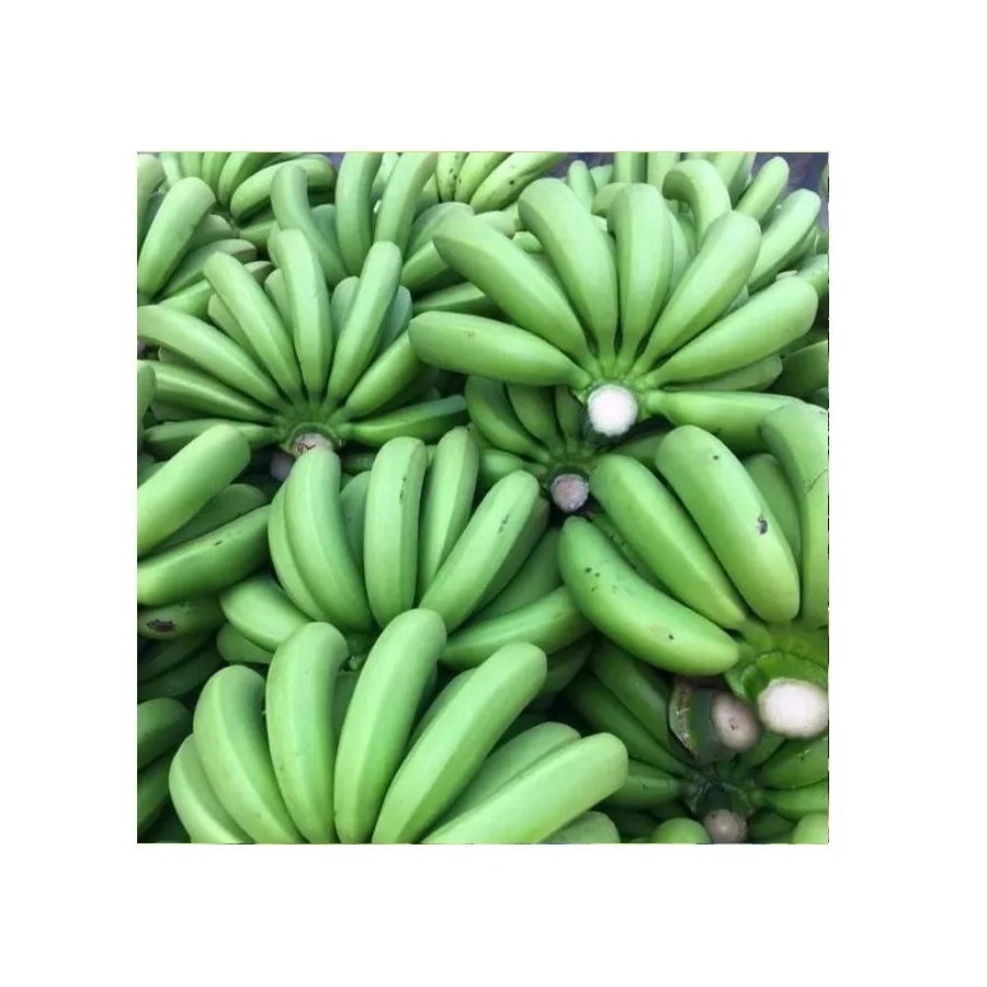 High Quality Tasty Sweet Bananas Delicious Banana Premium Type Natural 100 % Fresh From Thailand Farm
