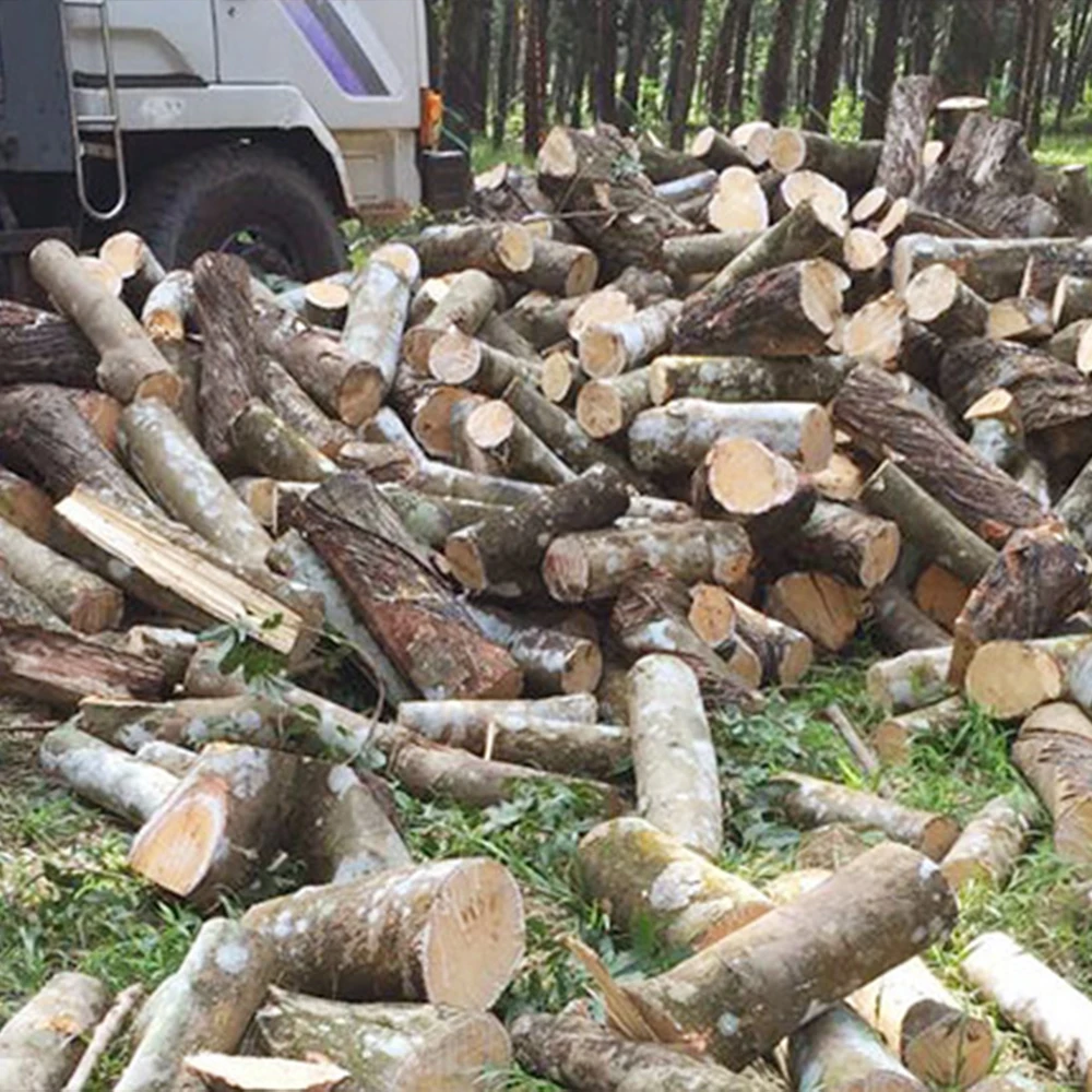 Высококачественные вьетнамские резиновые деревянные бревна по конкурентоспособной цене древесина/Пиломатериалы из Вьетнама экспорт всему миру