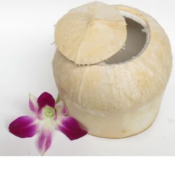 Wholesale coconut- Fresh coconut young - Semi husked coconut with 9pcs / LC- TT payment  from Viet Nam
