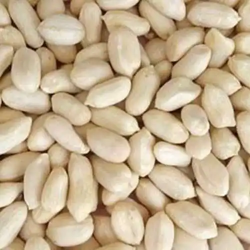 Peanut Kernels Blanched Wholesale Natural Bulk 15 kg bag Peanut kernels from Uzbekistan Non GMO Peanut in shell for food