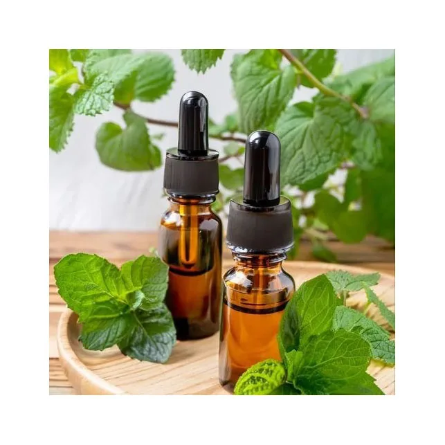 Pure and Natural Cold Pressed Organic Peppermint Seed Oil Wholesale Bulk Price Base Oil