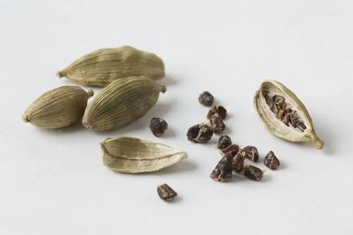 Green dried Cardamom SUPPLIER 100% Pure Good Quality wholesale