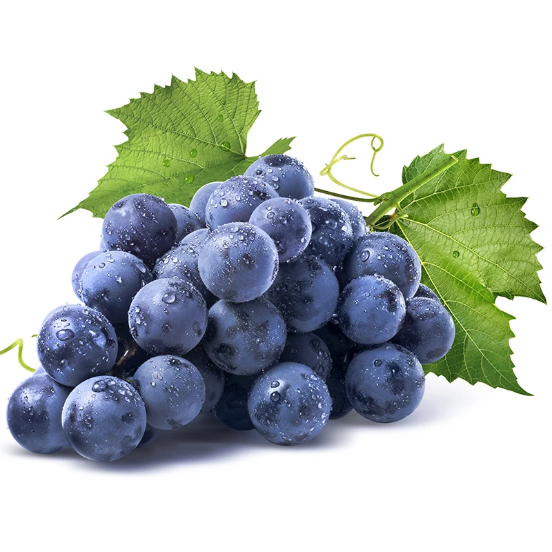 Quality Assured Natural Dry Grapes Wholesale Bulk Purchase in Thailand