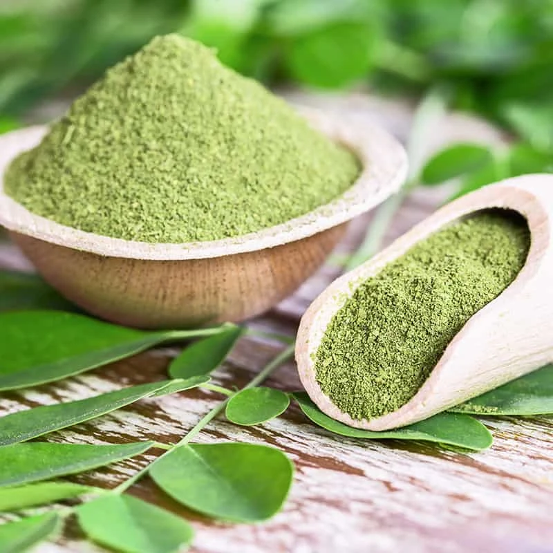 Moringa порошок USDA & EU органический продукт Лидер продаж хороший для пациентов с сахаром а из листьев взрослых продажа OEM