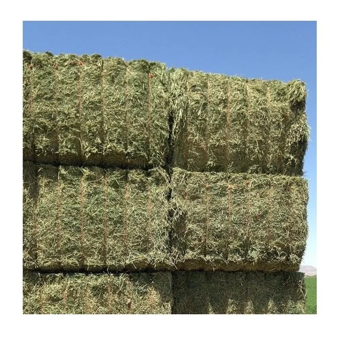 Продается в тюках для кормления животных сена из семяной или оптовой продажи овса сада травы
