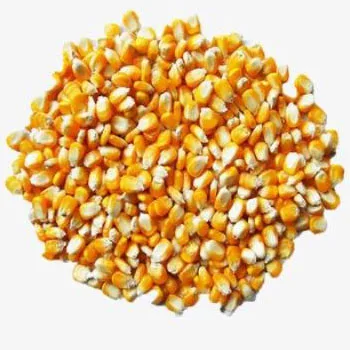 Оптовая продажа корм для кукурузной муки клейковины животных поставщик высококачественный ряд Независимый маленький