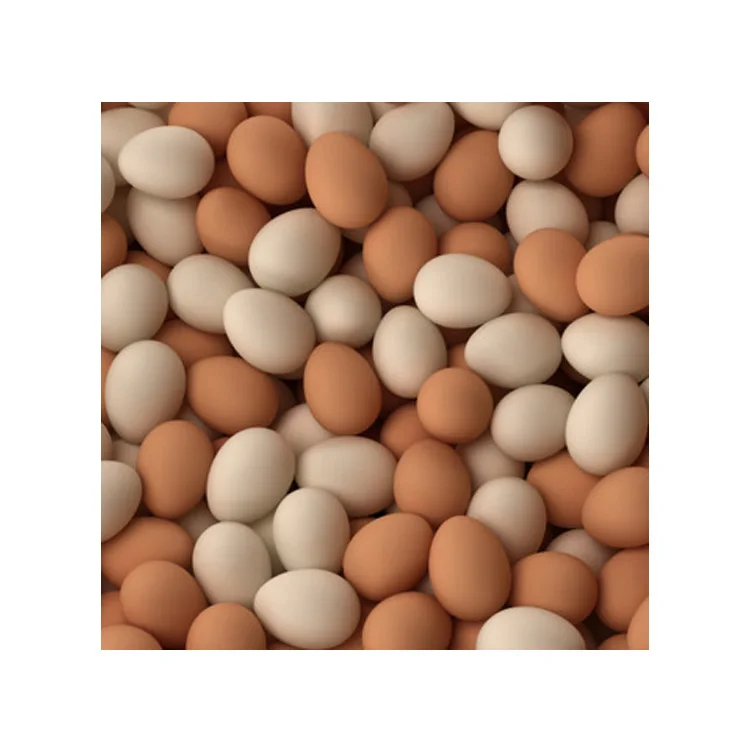 Brown/White Fresh Table Chicken Eggs, Chicken eggs in bulk