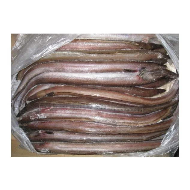 Cheap Price Frozen Yellow Pike Conger Eel Seafood Indonesia