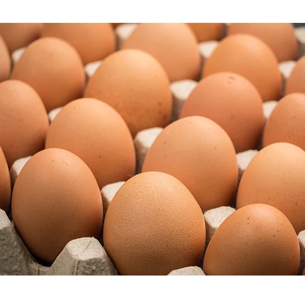 Fresh White and Brown Shell Table Chicken Eggs