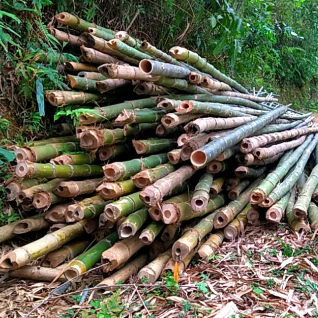 Высококачественный деревянный шест из необработанного бамбука/бамбуковые стержни из натурального волокна