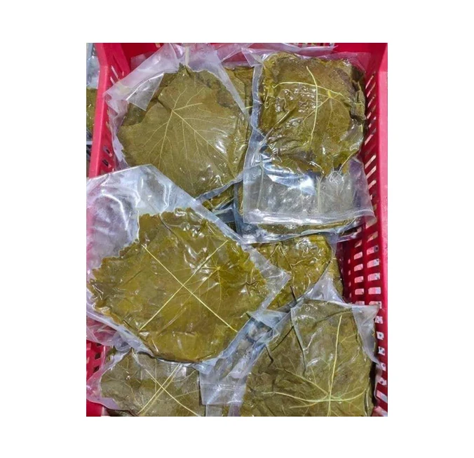 Egypt Origin Exporter of Superior Quality Bulk Canned Vegetables Grape Leaves in Brine | Egyptian Grape Leaves for Sale