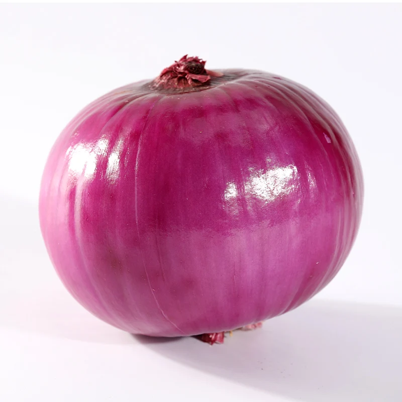 High quality 10kg/20kg Mesh Bag red peeled Onions in bulk onion exporter fresh red onion for good price