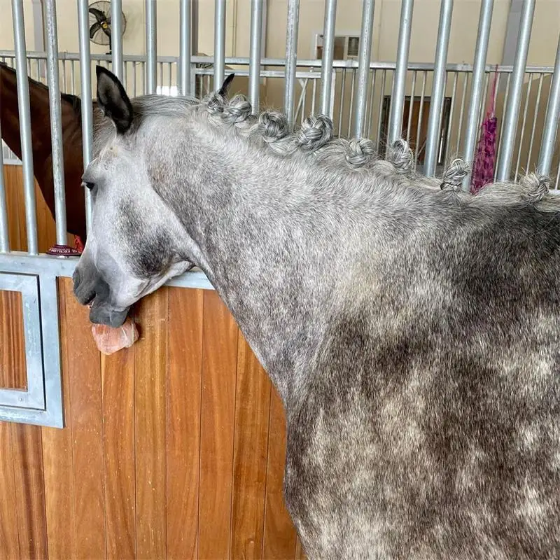 Organic Animal Himalayan Pink Salt Lick on Rope for Horses