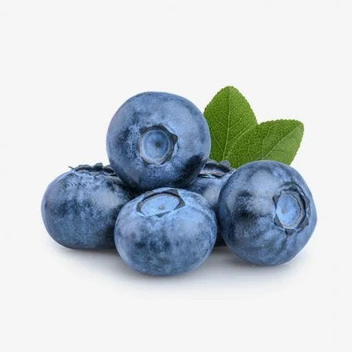 Wholesale Cheap Price Best Quality Fresh Blueberries Fruit For Sale Worldwide Exports
