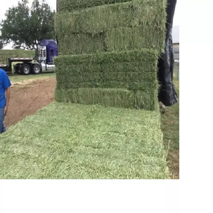 American Alfalfa Lucerne Hay for Animal Feed Cattle Horse Cow Chicken Pet Alfafa Hay Animal Feeding Stuff Alfalfa,