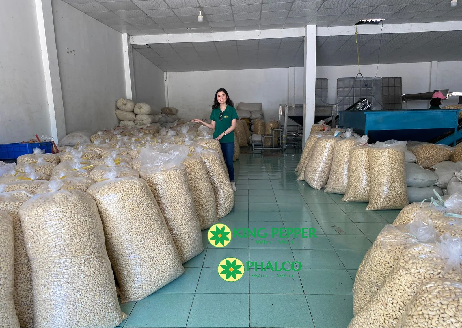 VIETNAM CASHEW NUTS BEST PRICE GOOD QUALITY from HP Group 0084 86 998 1238 (Whatsapp)