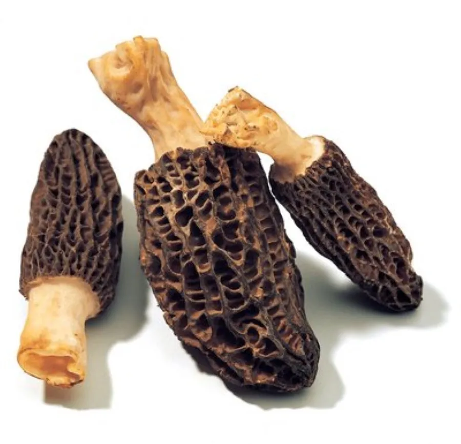 Morel грибы натуральные дикие органические Здоровое питание сушеные черные морели гриб