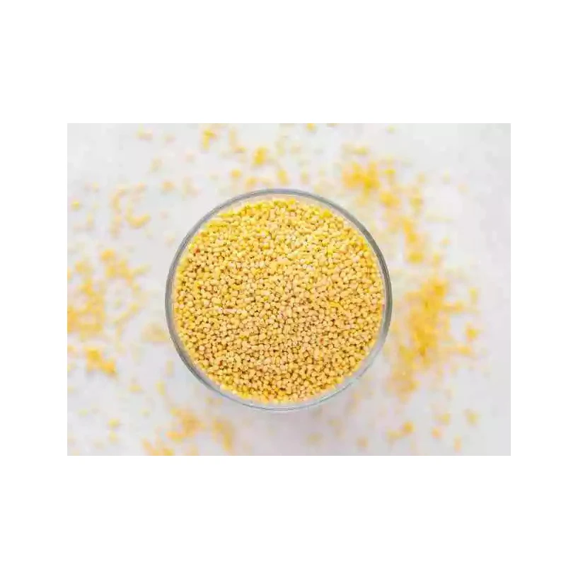 Yellow Millet for sale wholesale Yellow Millet for export
