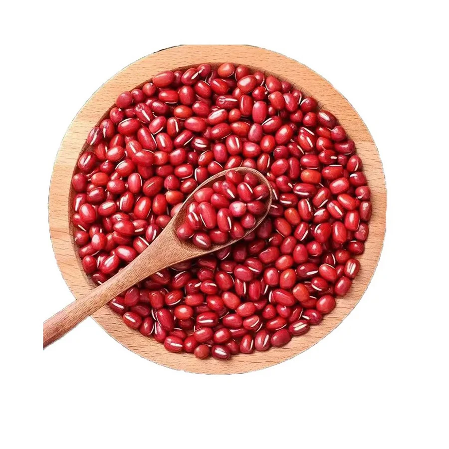 Buy Cheap Dark Red Kidney Beans Long Shape Kidney Beans for sale Pulses Like Kidney Beans