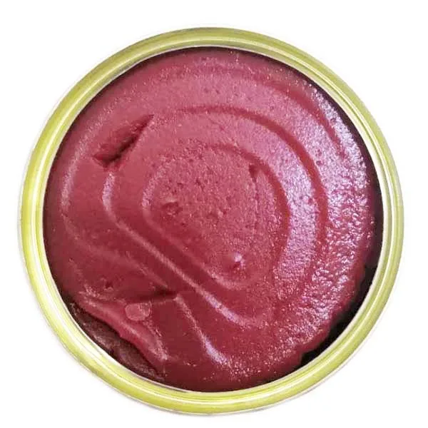 2023 tinned tomato paste in 70g