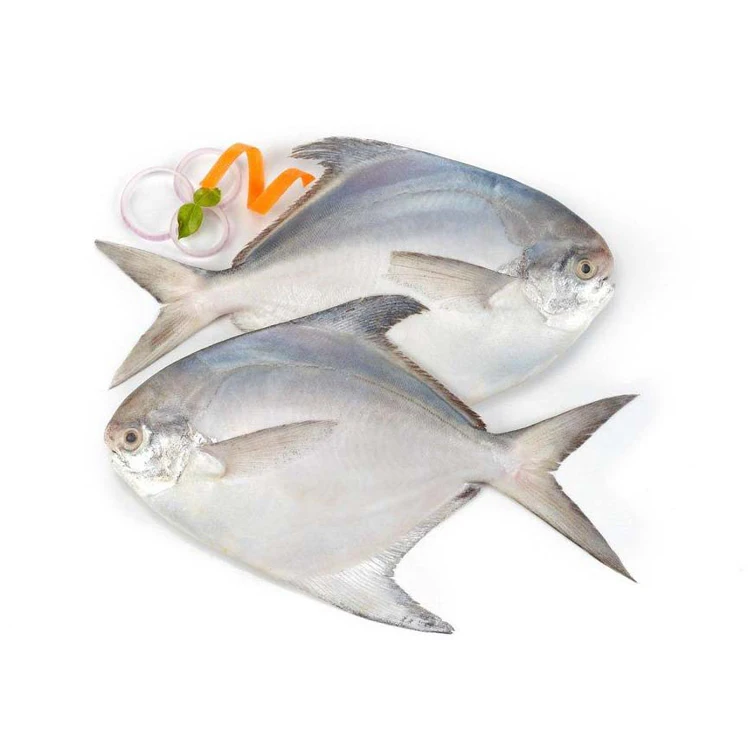 HOT SALES FROZEN FRESH RED POMFRET with cheap price (Wholesale)
