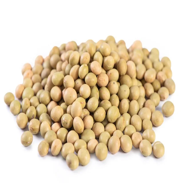Hot Sale GMO and Non GMO Soyabean/Soybean for Sale Soybeans Soya Soja Bean Common High Quality