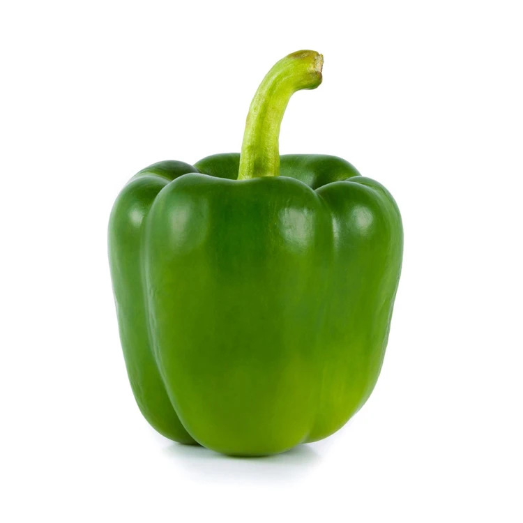 Spicy Fresh Capsicum Fresh Capsicum Bell Pepper