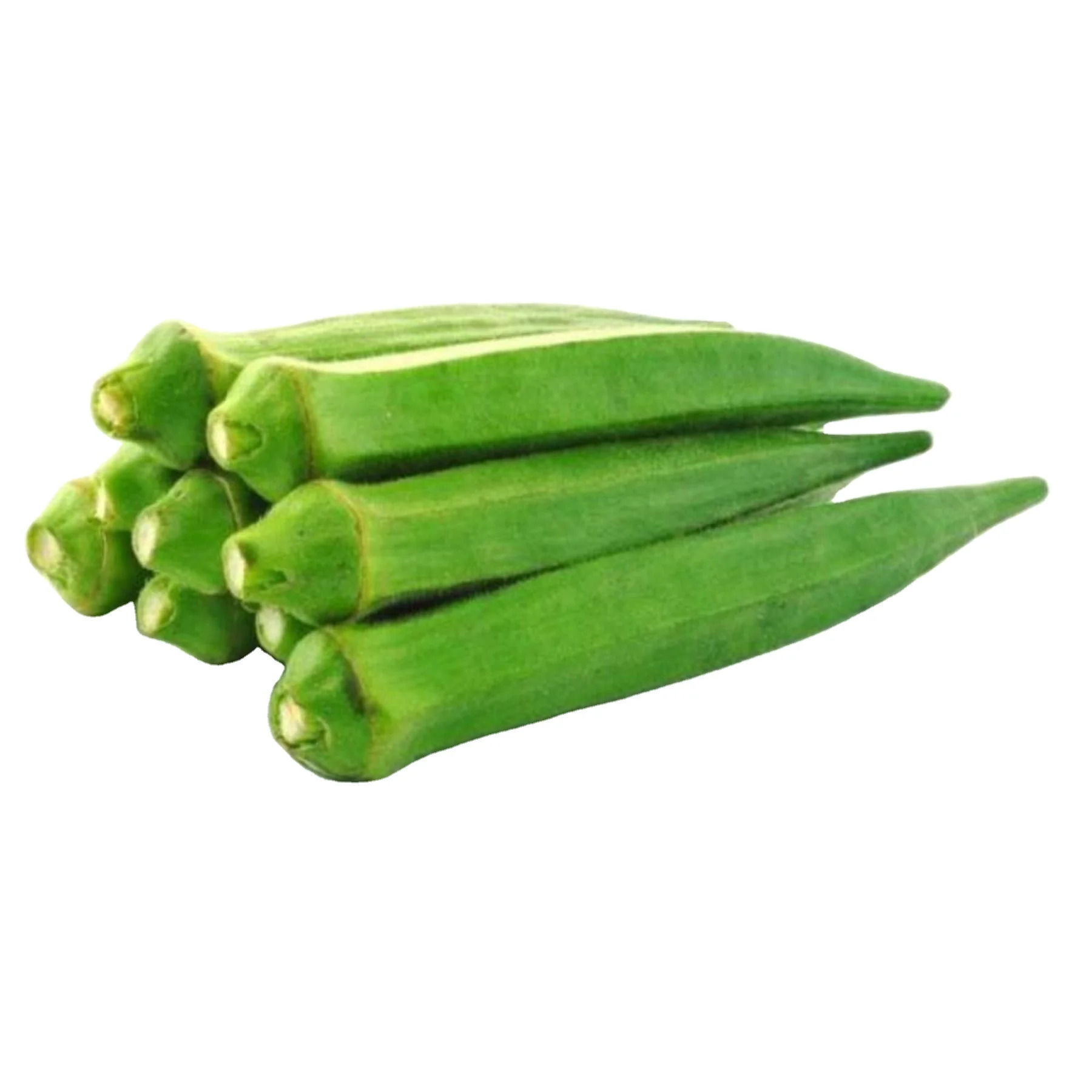 Top exporters for Okra(Op) Verity for for consumption Okra Arka Anamika / Okro exporting company production company