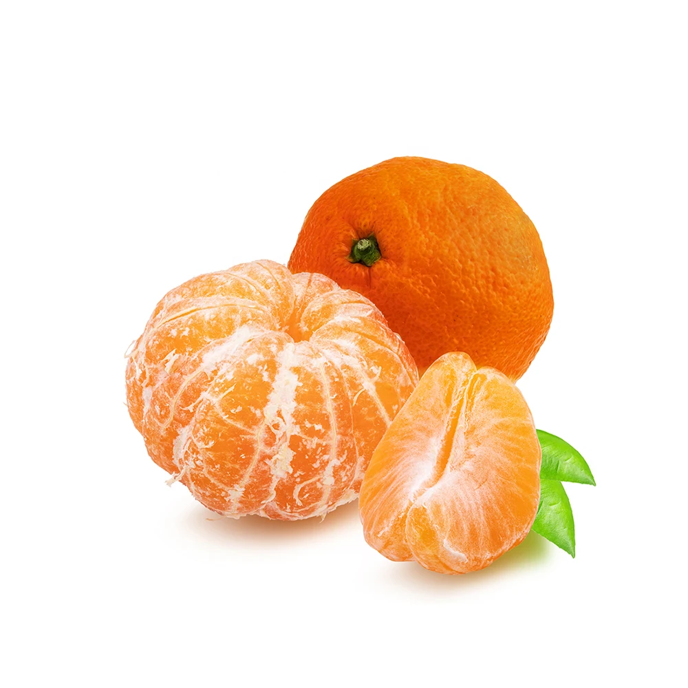 New Arrival Fresh Orange Available At Wholesale Price