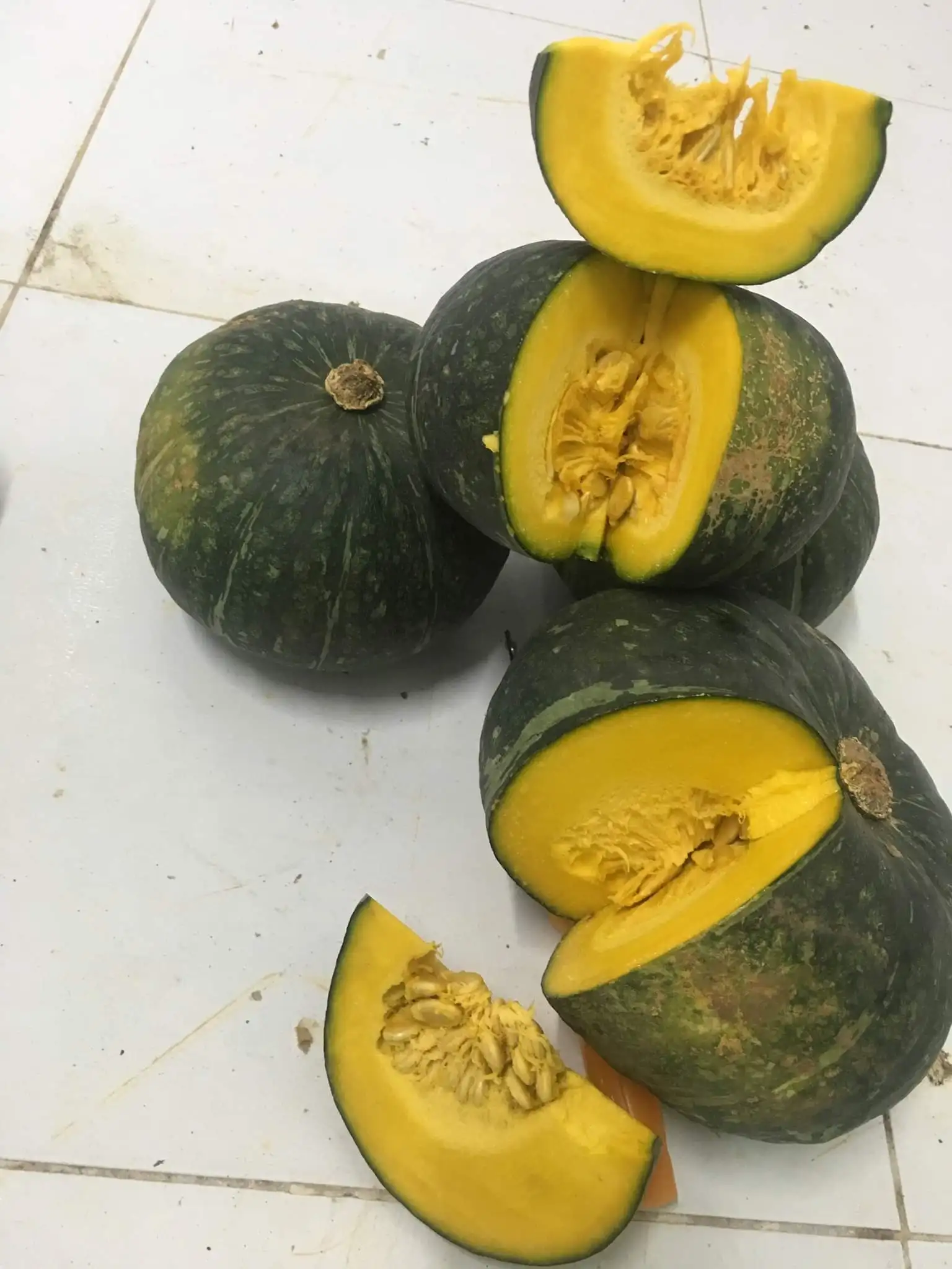 Fresh Pumpkin With Best Quality