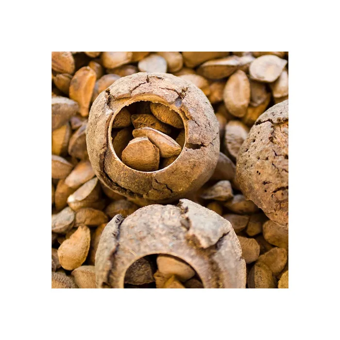 High Quality Brazil Nuts Wholesale Natural Peru 100% Pure Raw Premium Brazil Nut Bulk Best Nuts