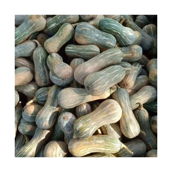 Свежие овощи в виде тыквы