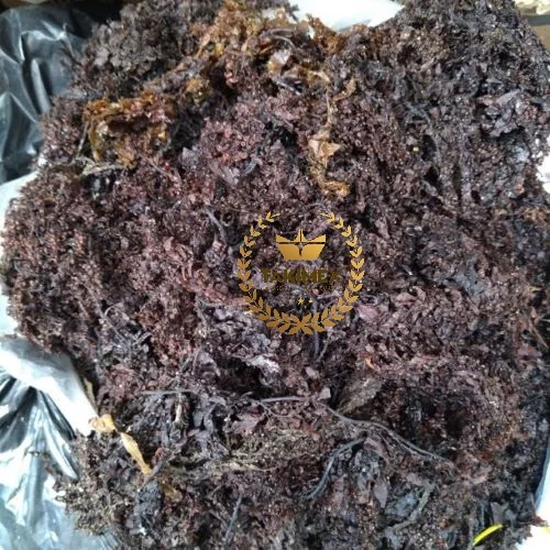 Вьетнамские высококачественные сушеные водоросли Sargassum/100% чистые темно-коричневые во Вьетнаме