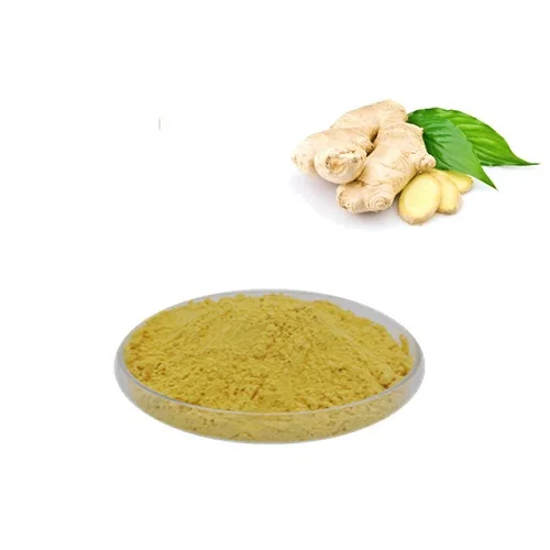 Factory Supplier 50g/100g/150g/200g/250g/300g up Fresh Ginger