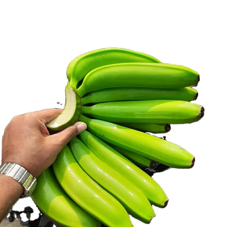 100% свежий банан Кавендиш-оптовая продажа для экспорта бананов Кавендиш по всему