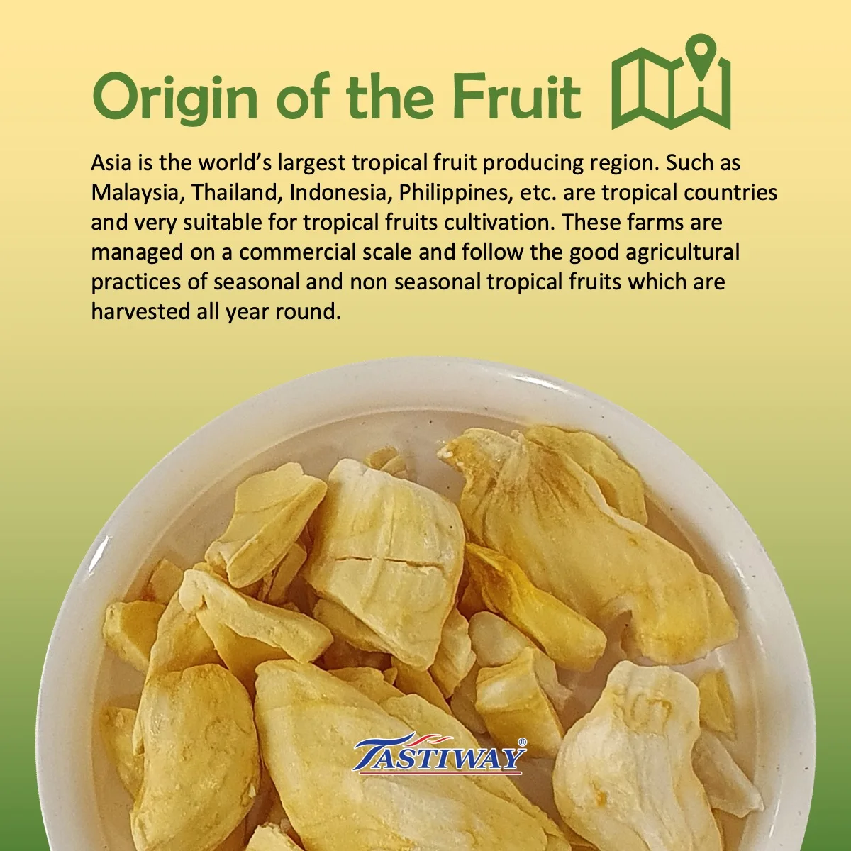 Hot Deals Premium Natural Healthy Fresh Jackfruit Sliced Sweet Freeze Dried Food Good Quality 0.02kg Weight Pouch Packaging