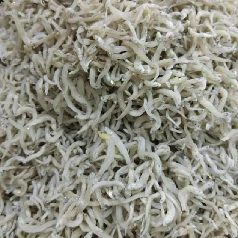 Competitive Price Whitebait Anchovies Frozen Ikan Bilis Mata Biru / Blue-Eyed Anchovies With 2 Years Shelf Life