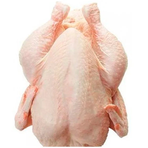 frozen chicken breast fillet