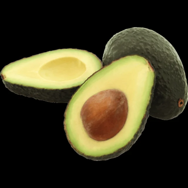 High quality fresh avocado agent with the best price for customers