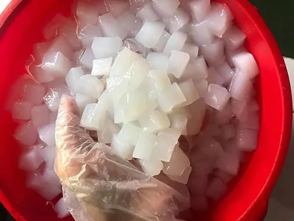 Dried Nata de coco Nata de coco in syrup +84947900124