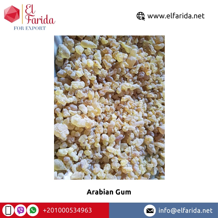 Egypt Origin Wholesaler Selling Best Quality Confectionery White Or Yellow Arabian Gum for Sale at Reliable Market Price